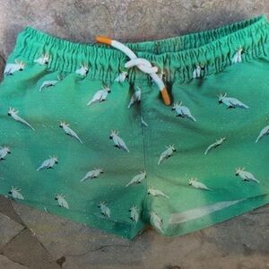 Green Parrot Print Kids Swim Trunks